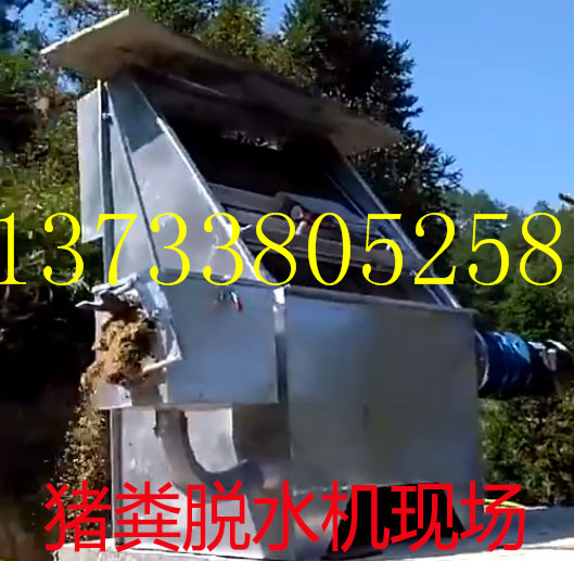 猪舍防臭不污染七绝招
