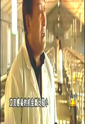 农村养殖大爷泄露：离地养猪的核心方法！