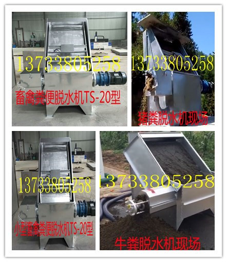 猪场成本管理与利润核算——成本项目及核算要求！
