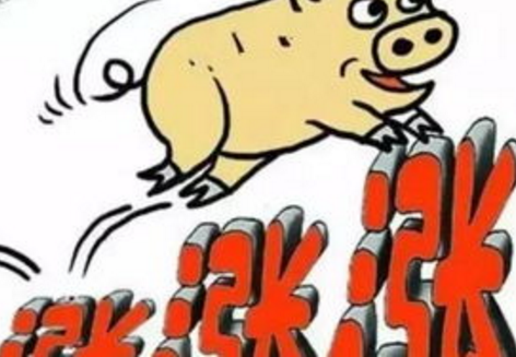 端午来临，生猪市场行情或再掀涨价潮