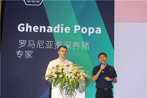 Ghenadie Popa：后备母猪管理是猪场生产基础！