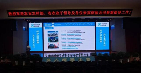 高起点高标准助力行业转型升级——农业农村部领导莅临恒通动保检查指导工作