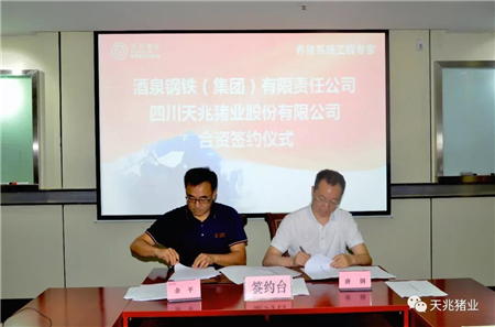 天兆猪业与酒泉钢铁（集团）成功签约!