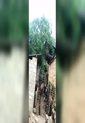 自从家里养了一头猪，这二货就跟猪杠上了！
