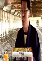 农村养猪新方法 如何让母猪下更多猪仔？