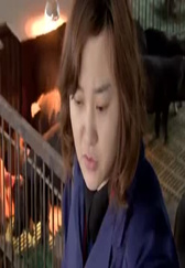 成本少养猪多阳光充足、还不臭的猪栏设计，堪称经典！