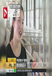 90后开起养猪场 苏州“女孩”成人生赢家！