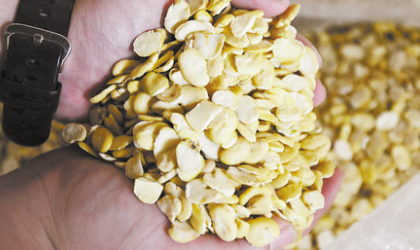 豆粕价格应急反应期 有货没货您都悠着点……