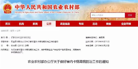 疫病多发、环保高压，养猪业正经历“多事之秋”！