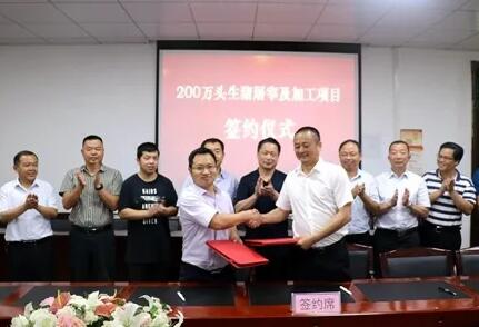 豪！为抵抗低迷行情，湖北这家养殖大企花200万建屠宰场！