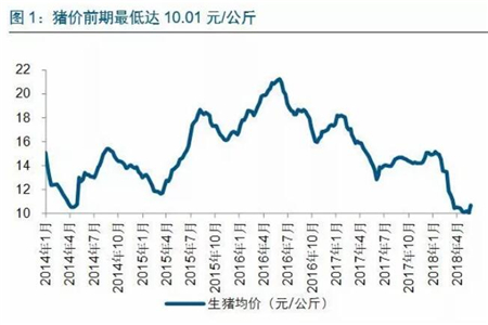 长江证券：猪价亏损幅度超过2014年，但7、8月份将大涨？