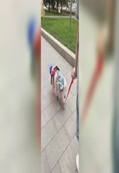 哈哈哈，俄罗斯街头惊现杀马特猪！