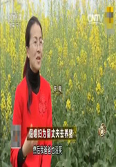 倔媳妇的养猪新思路，规避风险，平稳中求发展！
