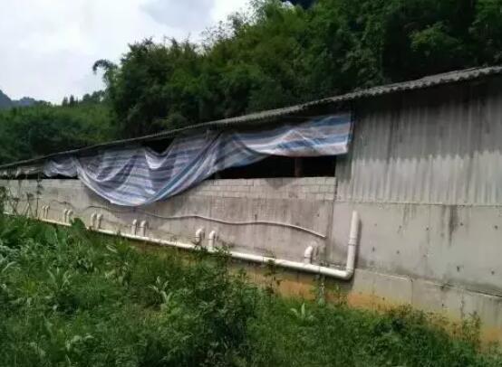 环保风暴再度震撼行业！广东广西等地一大批知名猪场近期遭处罚、关闭！