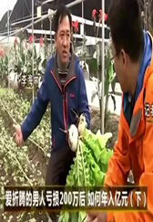 农村大哥发明奇葩的养猪新模式，一番折腾第一年收入上亿！