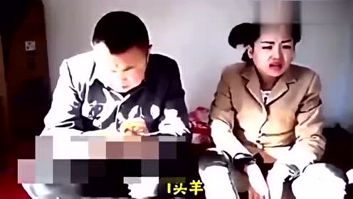 农村傻媳妇根据自己的经验这样给猪配种，厉害了！