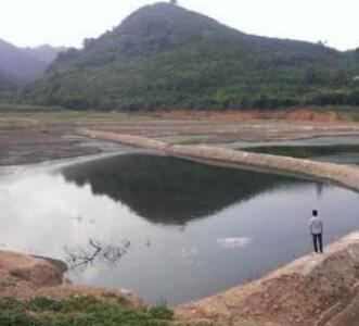 吉安一猪场场址还未定便被投诉污染环境了!