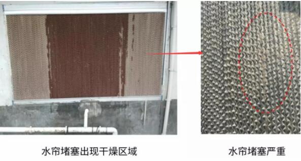 注意！这八大坑让猪场的水帘降温效果变差！