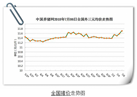 猪价加速度上涨？但牛猪压栏风险甚高……