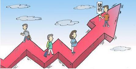 黑龙江省畜禽养殖污染监管无力，江西正邦集团环境违法违规严重