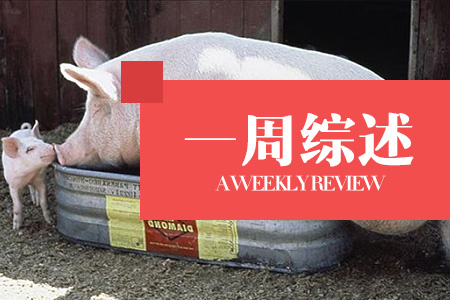 七月猪价距6月相比适度趋涨，但慢爬概率较大！（一周综述）