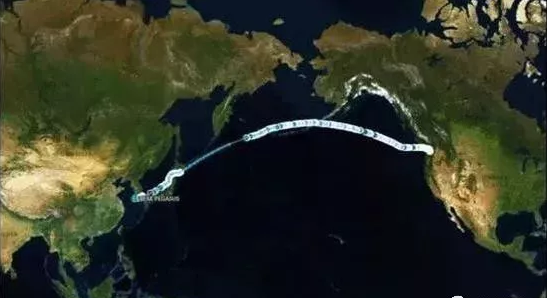 还记得那一艘“奔跑”的大豆货轮么？它的结局并不是那么美好......