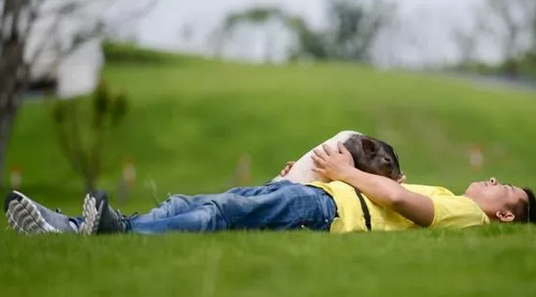 踢球、跨栏......他这样把一头小猪送上“明星”之路？