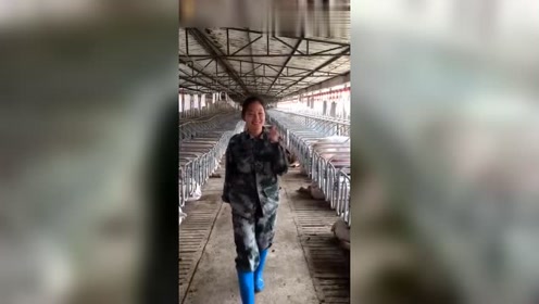 农村养猪女孩忒有才了，看一次笑了！