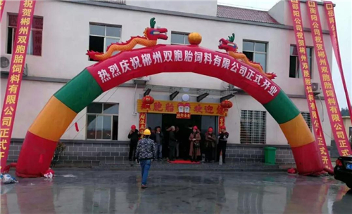 双胞胎养猪服务平台 