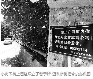 恶臭难闻！入江支流岸边被频繁抛扔臭猪肉，是谁下的手！