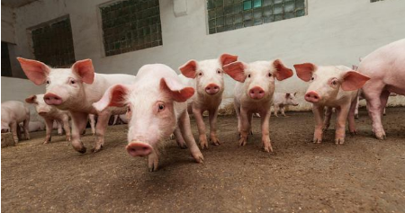 22类实验室对人员的要求，人才是实验室最宝贵的资源！