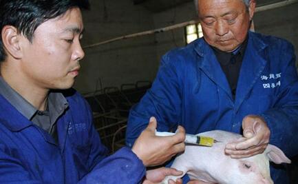 执业兽医与其他兽医职业有哪些不同？看完才知道有很多！