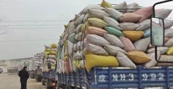 发改委：加强收购市场监管 防止出现“卖粮难”！