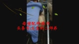 养猪技术：城里人是这么配种的，农村人要学习了！