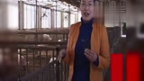 养猪农户赚了！这个养殖技术可以帮你省下十几万！