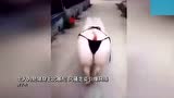 肥猪穿上比基尼 风骚走姿引爆网络，太骚气了哈哈哈 