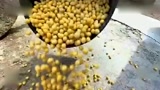 农民大哥用独特方法养猪，一头猪卖3000元，年入100万致富！