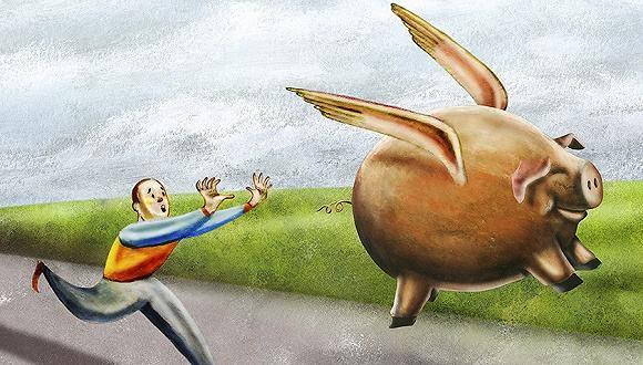 一天涨4毛！全国猪价继续拉升，多地向7元大关逼近！