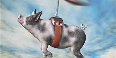 猪价继续上行，养猪人：不到8块不罢休！