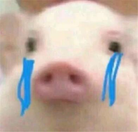 哪个瞬间，让你突然有“这辈子再也不养猪了”的念头？