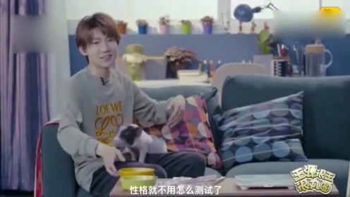 王源对自己的掌上明“猪”爱不释手，取名猪小刚，还给猪洗澡量三围！