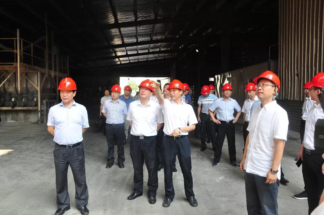 胡强：把双胞胎集团打造成服务三农的标杆企业