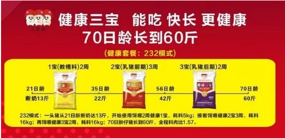 猪场最常见用药——阿莫西林的巧用，有点绝！