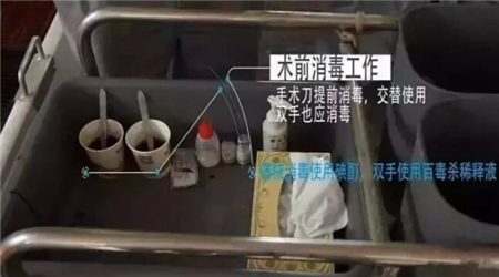严谨的德国养猪人这样阉割仔猪！易操作， 应激小，术后感染少！