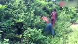 荒野求生：兄弟二人开始养猪了，还给它修建了庇护所！