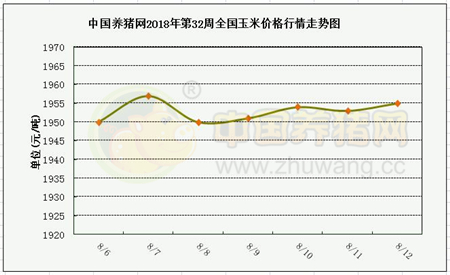 中国养猪网
