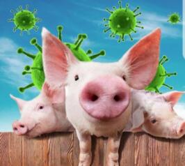 解读：如何从根源上消除“霉菌毒素”？