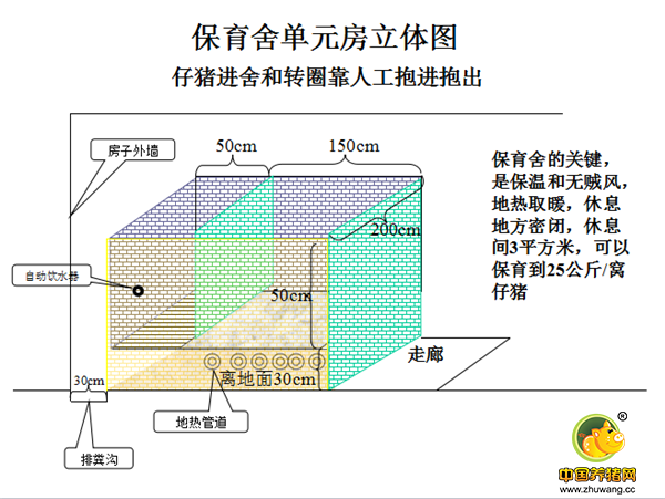 现代猪场保育舍和产房建设细节！