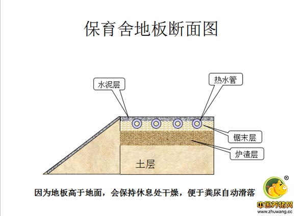 现代猪场保育舍建设细节！