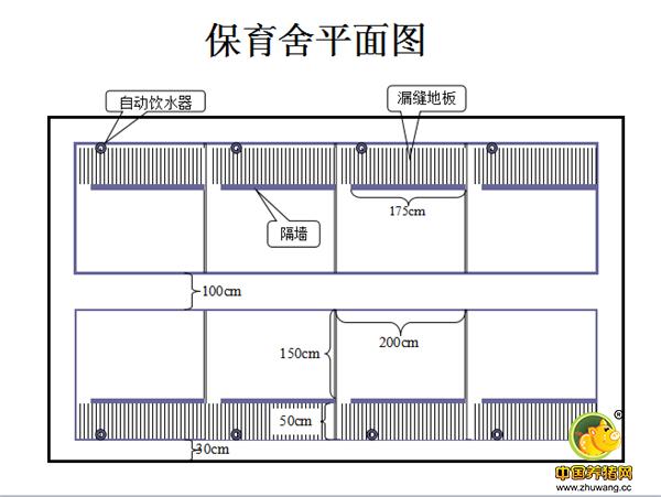 现代猪场保育舍建设细节！